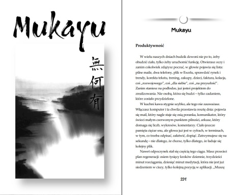Michał Sobieraj (ukiyo-japan.pl) - "Ścieżki. Japoński spokój wśród polskich brzóz" - kup książkę