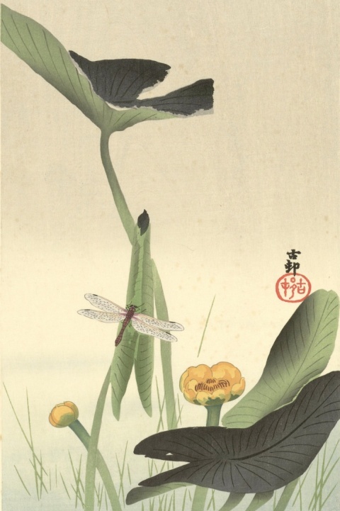 Japońska sztuka ukiyo-e w galerii Ukiyo-Japan.pl