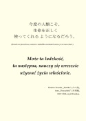 "Zbiory esejów" z Ukiyo-japan.pl (Michał Sobieraj) - Japonia po Japonii, Tom VI - motto